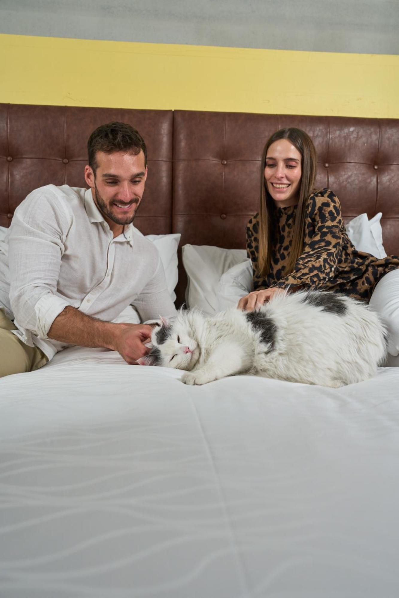 Отель Pullman Santiago El Bosque Экстерьер фото A cat with its owners